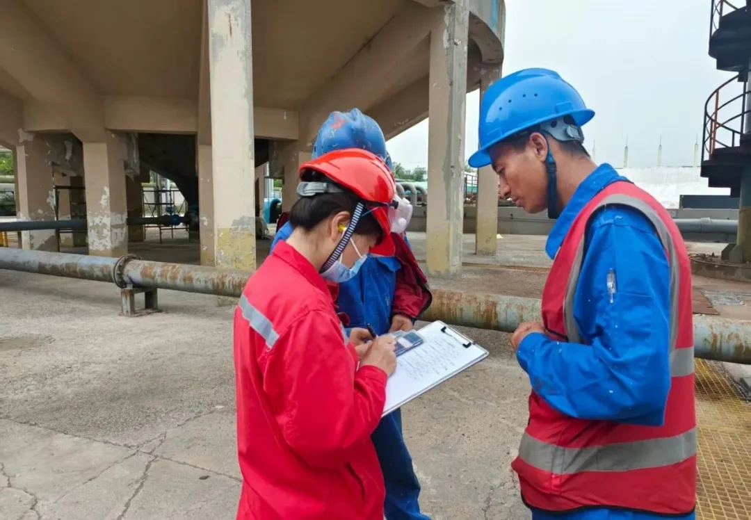 1756697528319855.jpg 1756697528319855.jpg